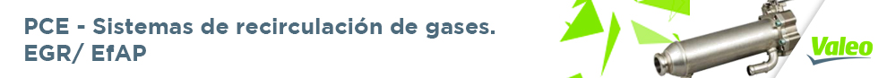 PCE - Sistemas de recirculación de gases.EGR/ EfAP