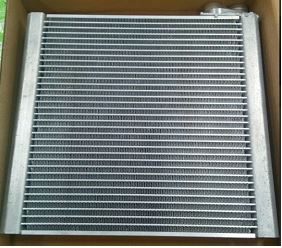Launch of Evaporator - Valeo India amze