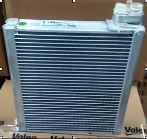 Launch of Evaporator - Valeo India amze