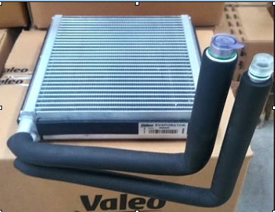 Launch of Evaporator - Valeo India scop